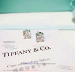 AAA Clone Tiffany Solitaire Diamond 925 Silver Earrings